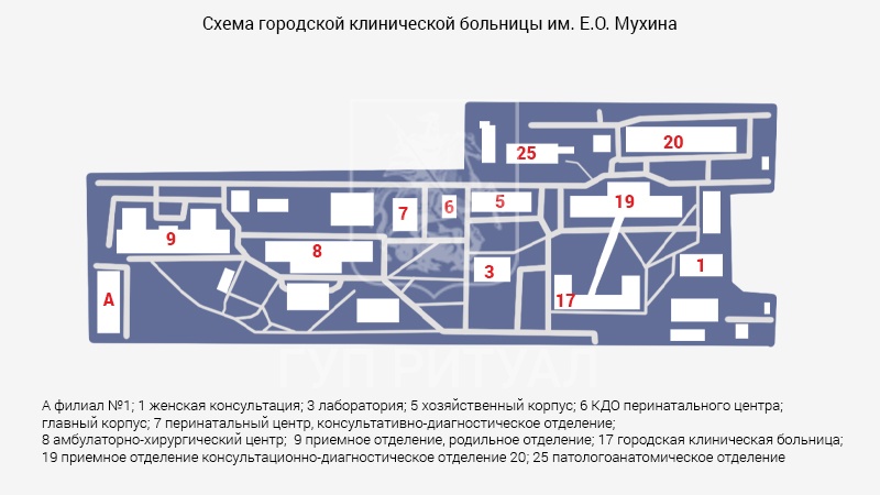 Схема морга городской клинической больницы им. Е.О. Мухина