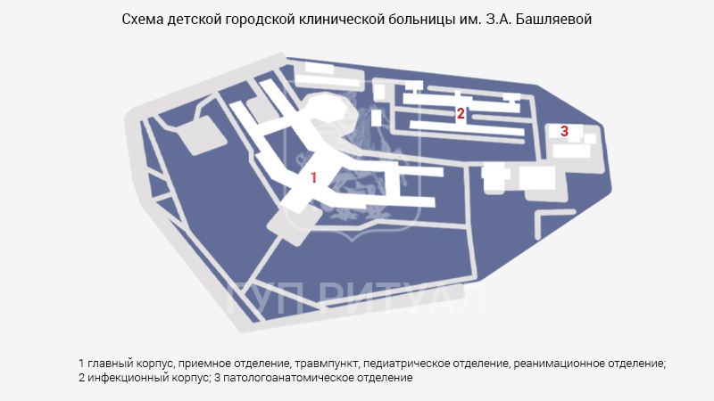 Схема морга Детской городской клинической больницы им. З.А. Башляевой (Тушинской)